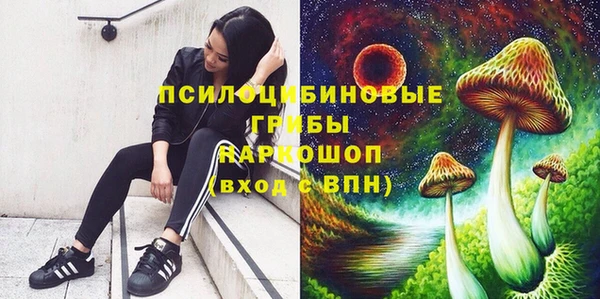 стаф Алзамай