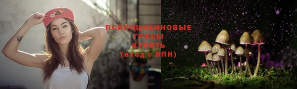 MESCALINE Алексеевка