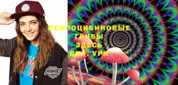 стаф Алзамай