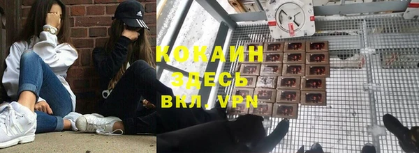стаф Алзамай