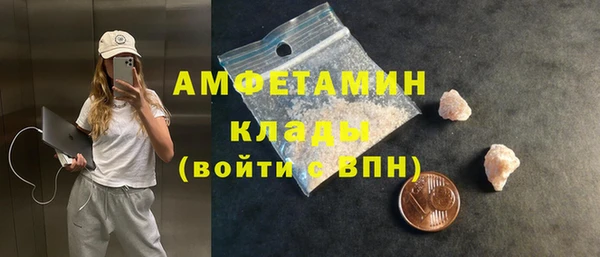 стаф Алзамай