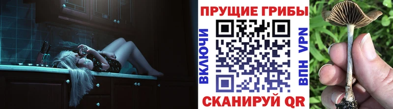 что такое наркотик  Ардон  hydra ссылка  Галлюциногенные грибы Cubensis 